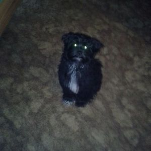 Meet your Posher, Rick